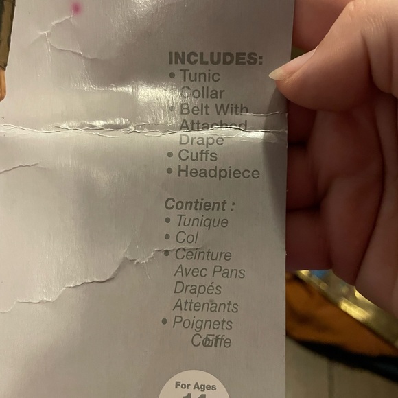 In Character Pharaoh Halloween Costume NWT - Picture 3 of 10